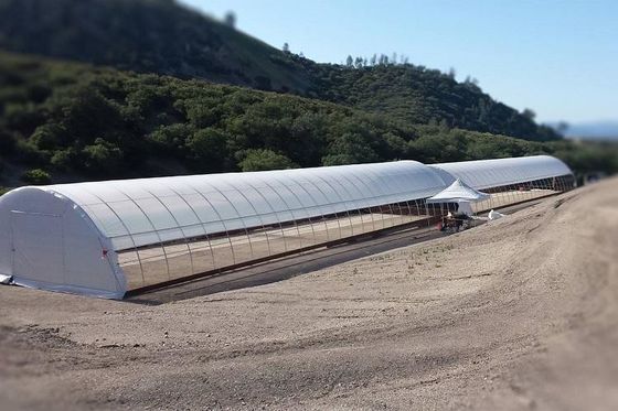 El solo invernadero TUV de la película del palmo PE bajo costo el invernadero polivinílico del túnel