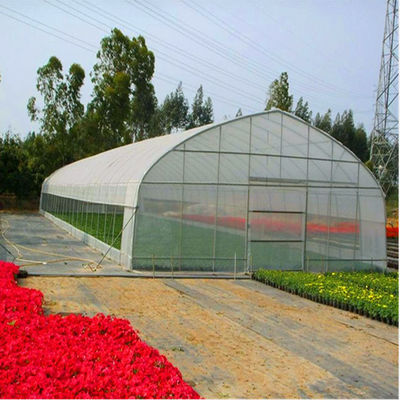 Tipo económico casa verde vegetal del solo del túnel PE invernadero de la película