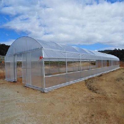 Tipo económico casa verde vegetal del solo del túnel PE invernadero de la película