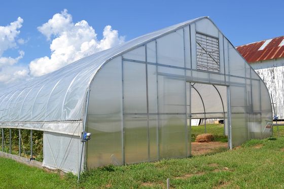 Tipo económico casa verde vegetal del solo del túnel PE invernadero de la película