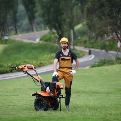 sierpe rotatoria del tractor del cultivador 5.5kw de la azada rotatoria 170F con una caja de herramientas